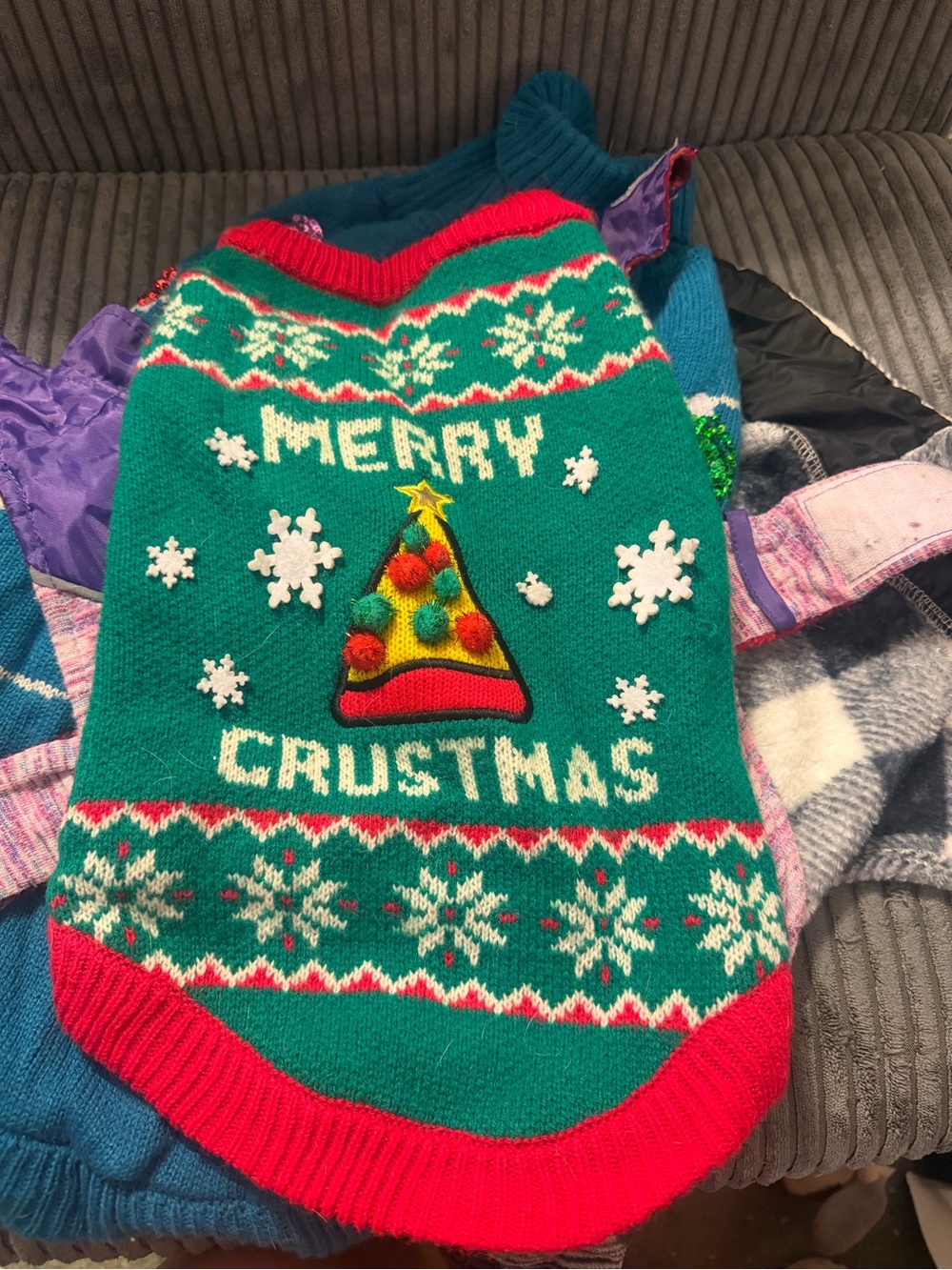 5items size small pet outfits